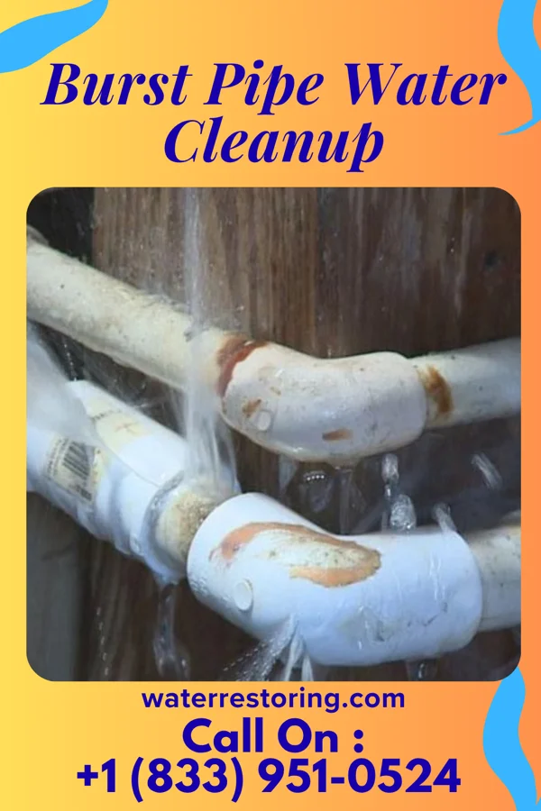 Burst Pipe Water Cleanup in Pueblo Nuevo, TX