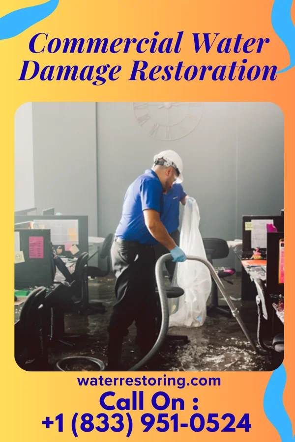 Commercial Water Damage Restoration in Pueblo Nuevo, TX