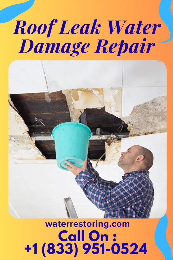 Roof Leak Water Damage Repair in Pueblo Nuevo, TX